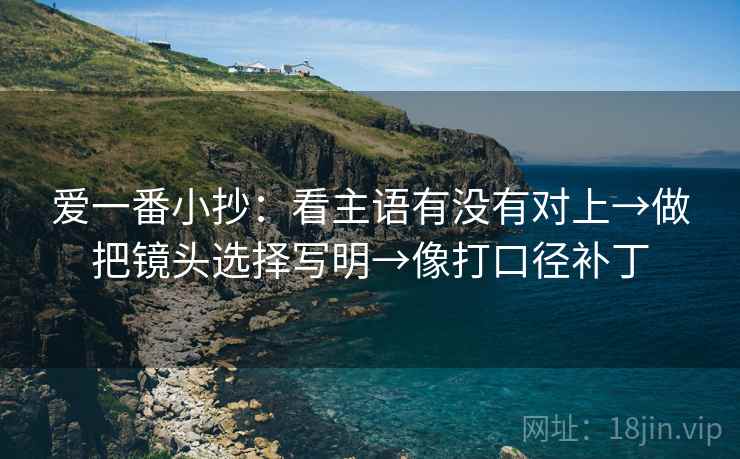 爱一番小抄：看主语有没有对上→做把镜头选择写明→像打口径补丁